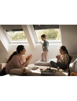 FINESTRA A BILICO MANUALE - GGU - Velux